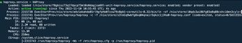 Fast development on NixOS