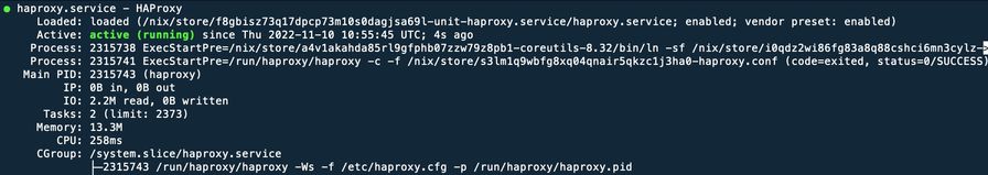 Fast development on NixOS