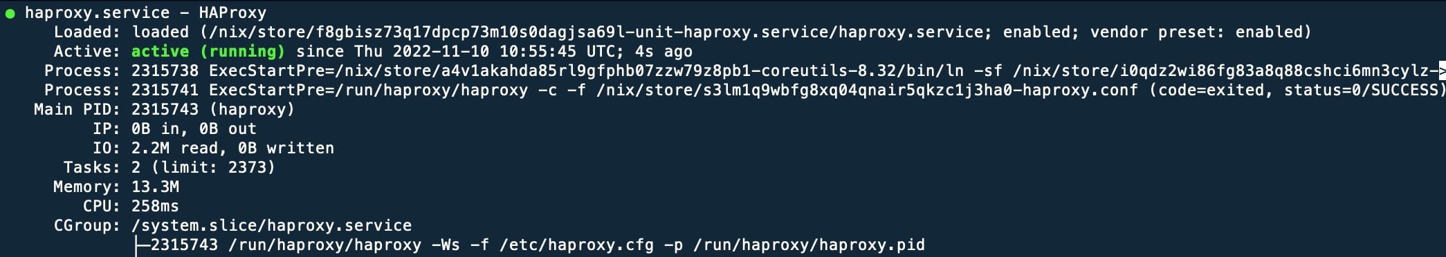 Fast development on NixOS