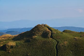 Niteo IRL#17 – Taiwan