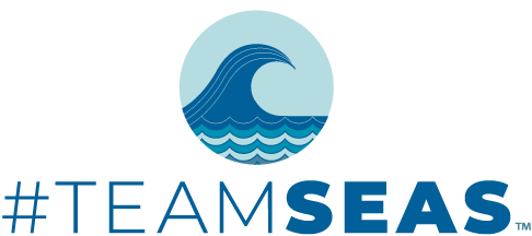 TeamSeas
