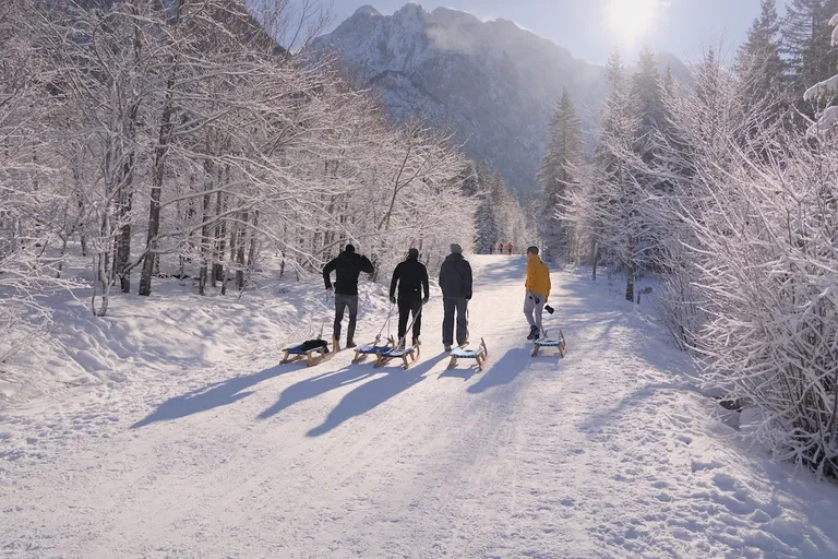 niteo irl15 kranjska gora image 2